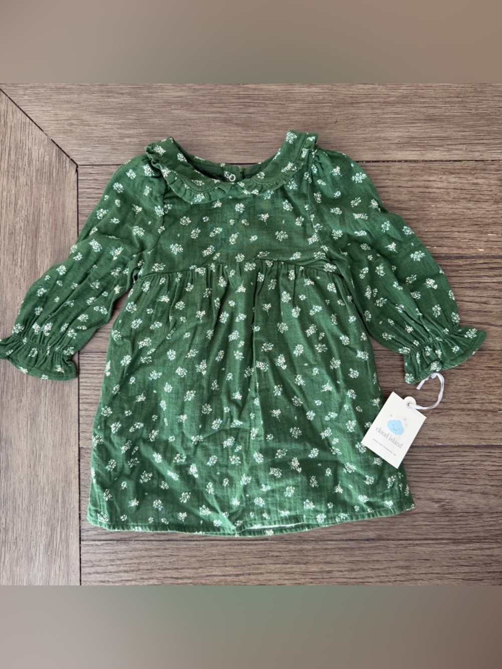 cloud island Green Floral Ruffle Neck Baby Dress